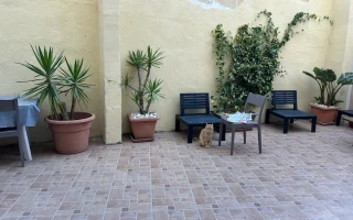 テラス3 (International House_インターナショナルハウス) テラス3