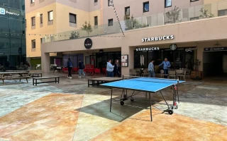 卓球台(Malta University Language School/マルタ大学語学学校)