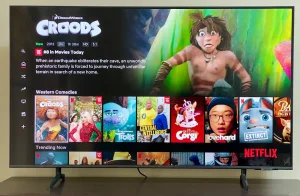 (WALES/ウェールズ) NETFLIX視聴可能