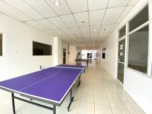 (GLOBAL LANGUAGE CEBU/グローバルランゲージセブ) Annex 2 卓球台