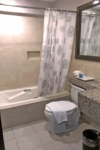 (Universe English/ユニバースイングリッシュ) Cebu Grand Hotel バス・トイレ