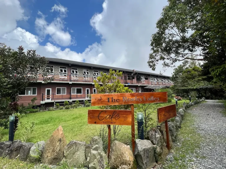 Baguio JIC Premium
