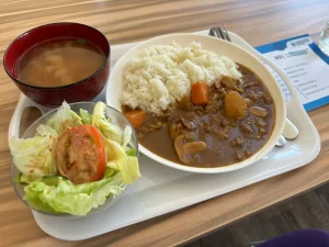 (ラプラプセブ国際大学/LCIC) お食事(2)