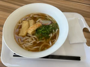 (ラプラプセブ国際大学/LCIC) お食事(3)