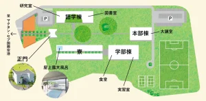 (ラプラプセブ国際大学/LCIC) 学校マップ
