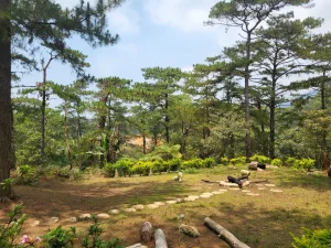 (A&J ECO Campus/エーアンドジェーエコキャンパス）BBQスペース
