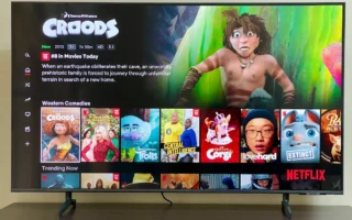 (WALES/ウェールズ) NETFLIX視聴可能