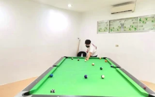 (BTES/ビーティーイーエス) ビリヤード